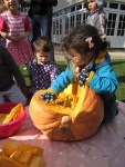 pumpkin11